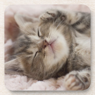 Sleepy Kitten Drankjes Onderzetter
