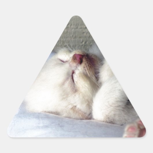 Sleepy Kitten Driehoek Sticker (Voorkant)
