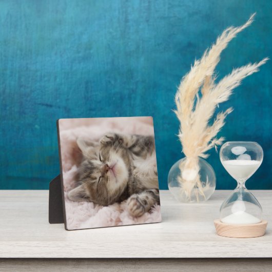 Sleepy Kitten Fotoplaat (Insitu)