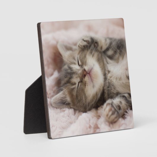 Sleepy Kitten Fotoplaat (Voorkant)