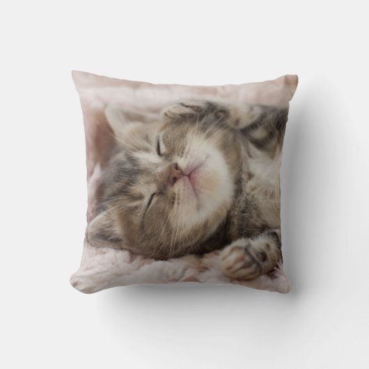 Sleepy Kitten Kussen (Voorkant)