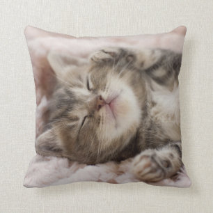 Sleepy Kitten Kussen