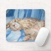 Sleepy Kitten Mousepad Muismat (Met muis)