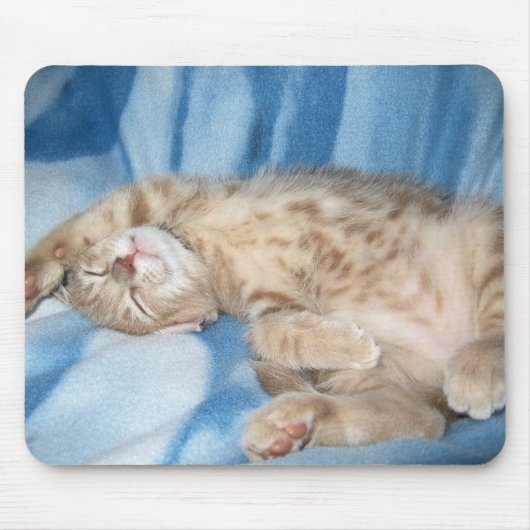 Sleepy Kitten Mousepad Muismat (Voorkant)