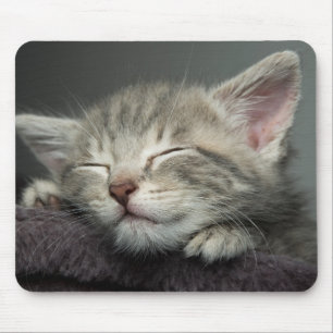 Sleepy Kitten Muismat