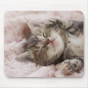 Sleepy Kitten Muismat