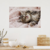 Sleepy Kitten Poster (Keuken)