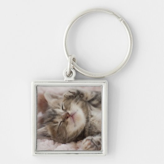 Sleepy Kitten Sleutelhanger (Voorkant)