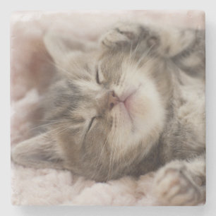 Sleepy Kitten Stenen Onderzetter