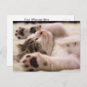Sleepy Kitten | Uitgebreide poten Briefkaart (Voorkant / Achterkant)