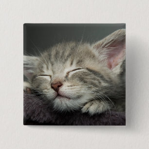 Sleepy Kitten Vierkante Button 5,1 Cm