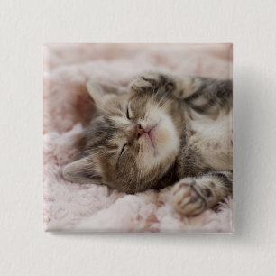 Sleepy Kitten Vierkante Button 5,1 Cm