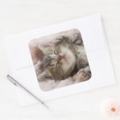 Sleepy Kitten Vierkante Sticker (Envelop)
