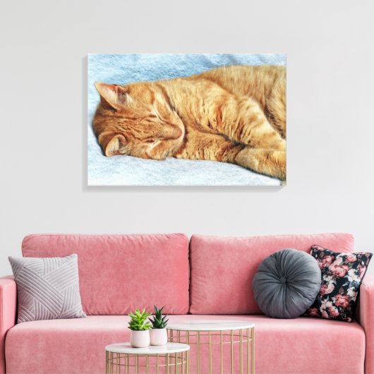 Sleepy Kitty Canvas Afdruk (Insitu (Woonkamer))