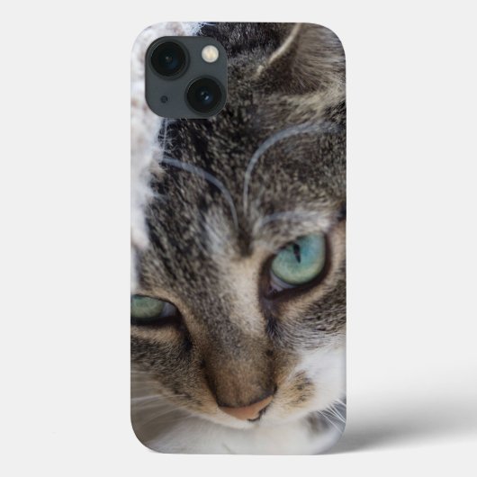 Sleepy Kitty Case-Mate iPhone Case (Achterkant)