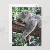Sleepy Koala Briefkaart (Voorkant / Achterkant)