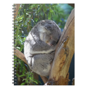 Sleepy Koala Notitieboek