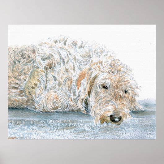 Sleepy Labradole Print (Voorkant)