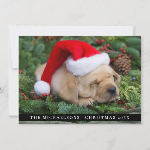 Sleepy Labrador Retriever Puppy met Santa Hat Feestdagenkaart