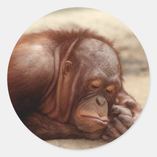Sleepy Monkey sticker (Voorkant)