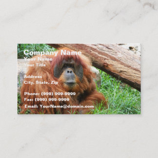 Sleepy Orangutan Visitekaartje
