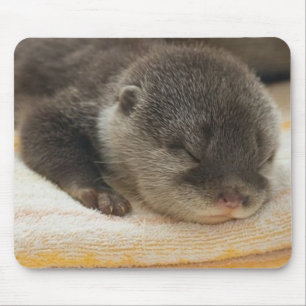 Sleepy Otter Muismat