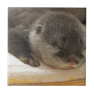 Sleepy Otter Tegeltje