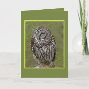 Sleepy Owl-Wenskaart Kaart
