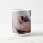 Sleepy Pig Mug (Centre)