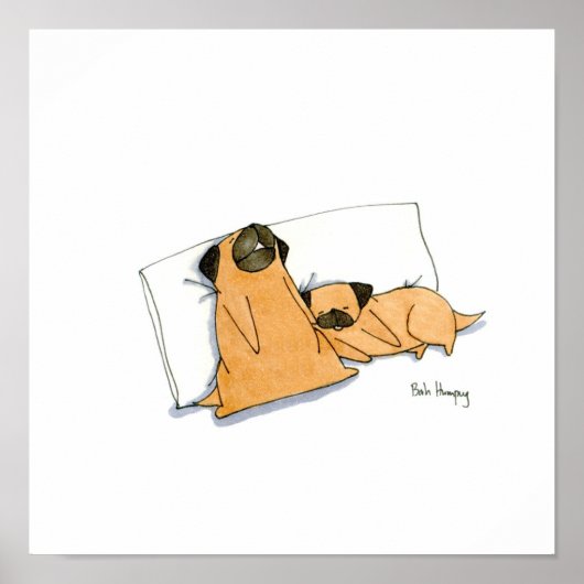 Sleepy Pugs Poster (Voorkant)