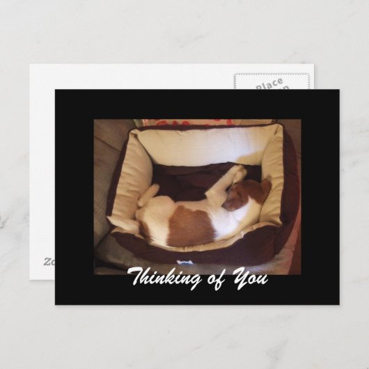 Sleepy Puppy - Denk aan je Briefkaart (Voorkant / Achterkant)