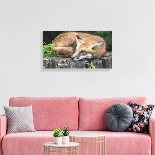 Sleepy Red Fox Canvas Afdruk (Insitu (Woonkamer))