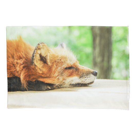 Sleepy Red Fox in het land in het wild Kussensloop (Voorkant)