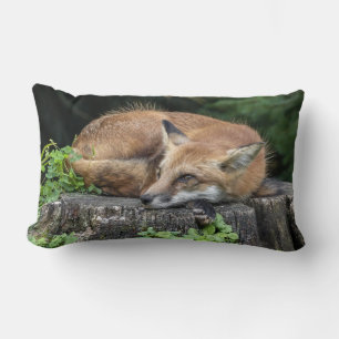 Sleepy Red Fox Kussen