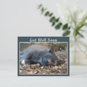 Sleepy Shady Cat Se Bien Bientôt Carte Postale (Debout devant)