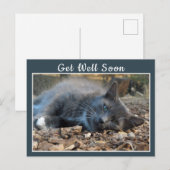 Sleepy Shady Cat Se Bien Bientôt Carte Postale (Devant / Derrière)