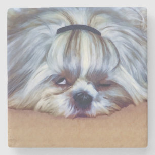 Sleepy Shih Tzu Dog Stenen Onderzetter