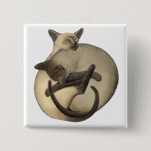 Sleepy Siamese Pin Vierkante Button 5,1 Cm (Voorkant)