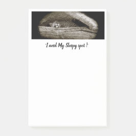 "Sleepy Spots" Post-it Notes, 4 x 6 Post-it® Notes