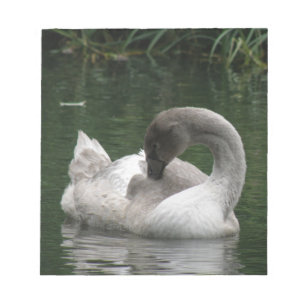 Sleepy Swan-laptop Notitieblok