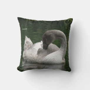 Sleepy Swan Pillow Kussen