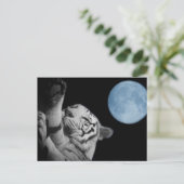 Sleepy Tiger Briefkaart (Staand voorkant)