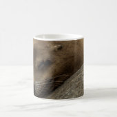 Sleepy Zee Lion - Sleeping Wildlife Fotografie Koffiemok (Center)