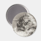 Sleepyhead Maine Coon Magnet Magneet (Voorkant / Achterkant)