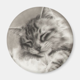 Sleepyhead Maine Coon Magnet Magneet
