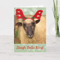 Sleigh Bells Sheep