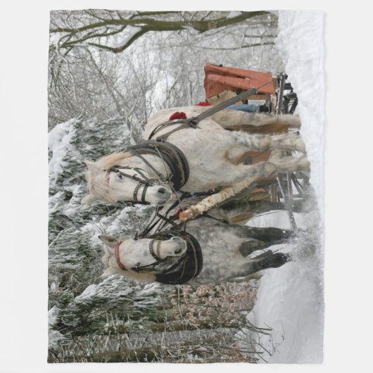 Sleigh Ride Fleece Deken (Voorkant)