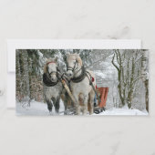 Sleigh Ride in Winter Wonderland (Voorkant)