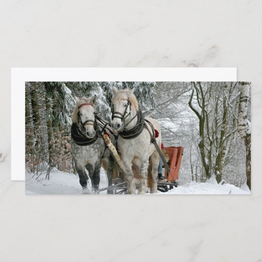 Sleigh Ride in Winter Wonderland (Voorkant / Achterkant)