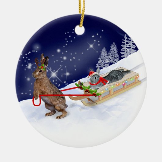 Sleigh Ride Ornament (Voorkant)